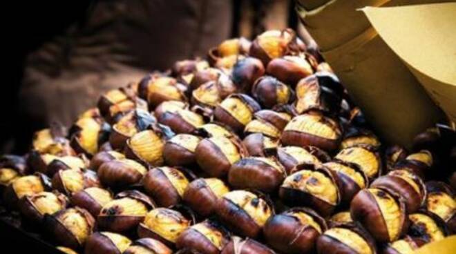 Castagne.JPG