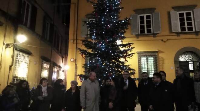 Immagini Di Natale Donne.Un Albero Di Natale Per Dire No Alle Violenze Di Genere Luccaindiretta