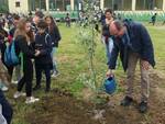 alberi piantumazione consorzio di bonifica