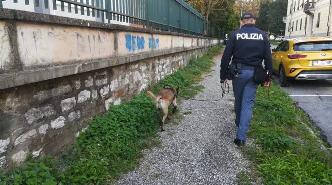 controlli antidroga scuole polizia Lucca