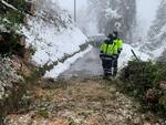 Emergenza neve alberi caduti in strada