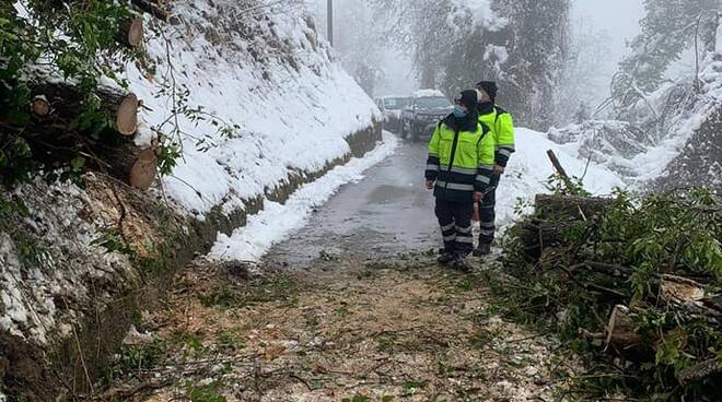 Emergenza neve alberi caduti in strada