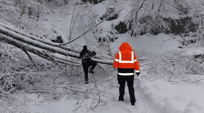 Maltempo e neve Gallicano 