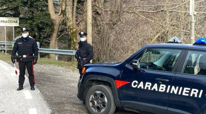 carabinieri bosco