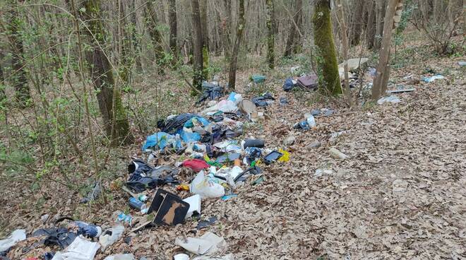 Rifiuti abbandonati in bosco