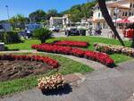 nuovi fiori a torre del lago 