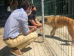 Accolti a Prato 10 del 71 cani del canile sequestrato a Molazzana