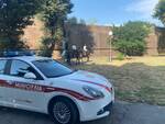 vigili a cavallo decoro rifiuti Firenze