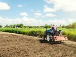 agricoltura agricoltore prodotti locali