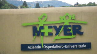 Meyer