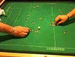 subbuteo