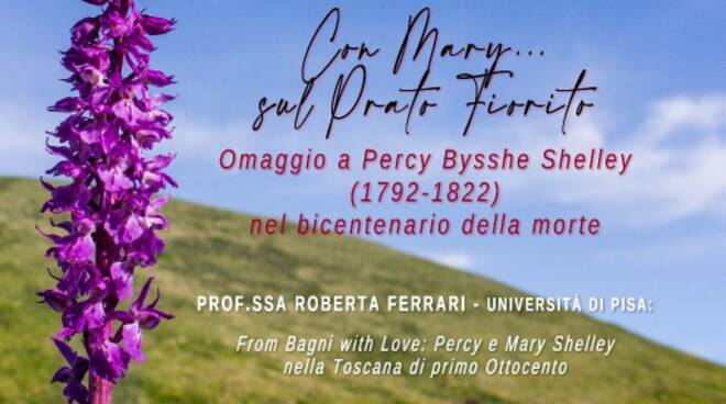 convegno Shelley