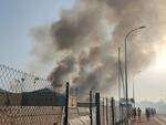 incendio campo grano pisa