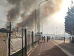 incendio campo grano pisa