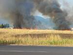 incendio campo grano pisa