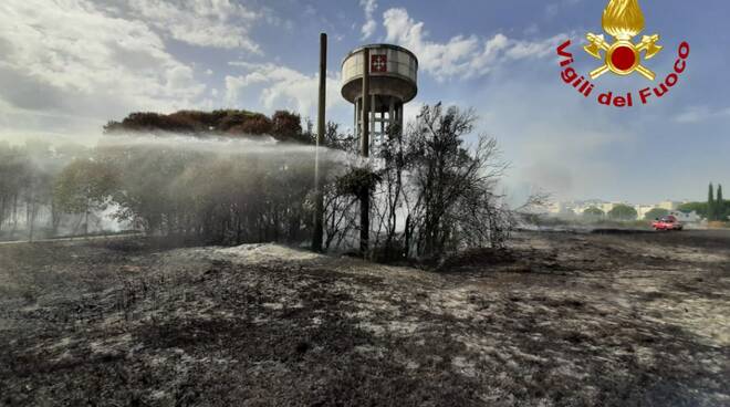 incendio sterpaglie pisa