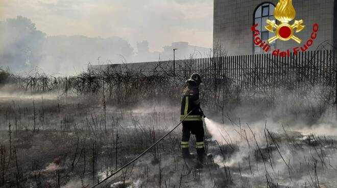 incendio sterpaglie pisa