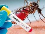 dengue 