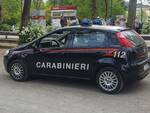 cane batman carabinieri cascine