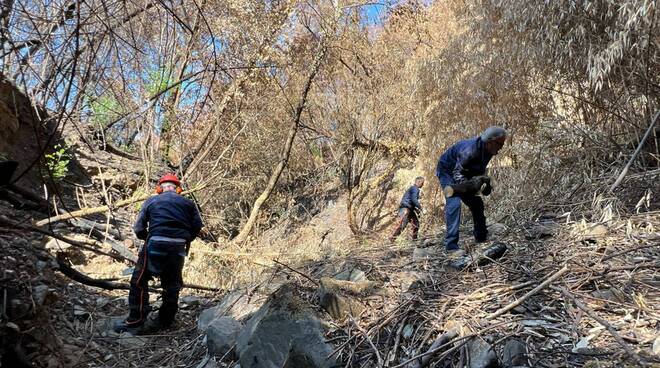 consorzio bonifica incendio massarosa