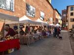 mercato straordinario di autunno, castelfranco di sotto