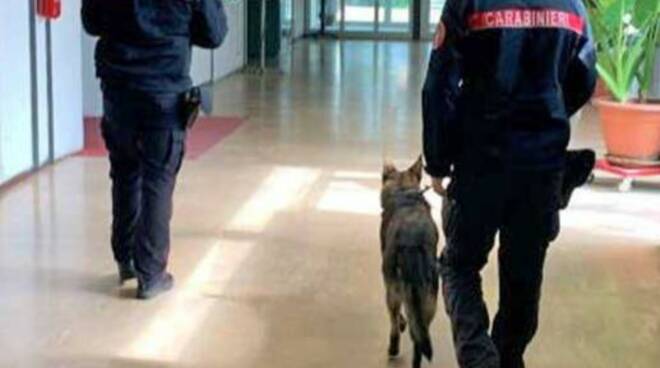 cani antidroga a scuola