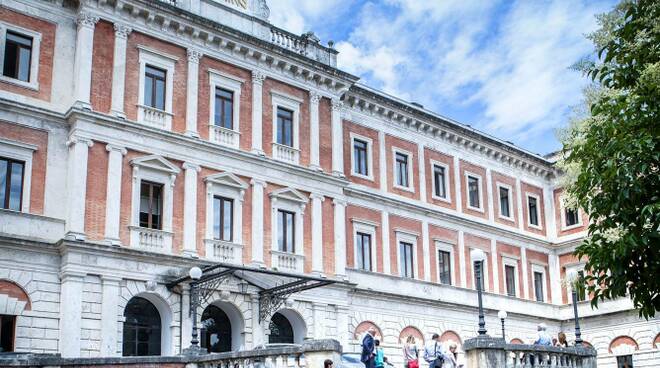 siena università