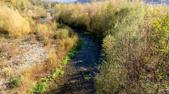 ponte di bolognana fiume serchio segnalazione 