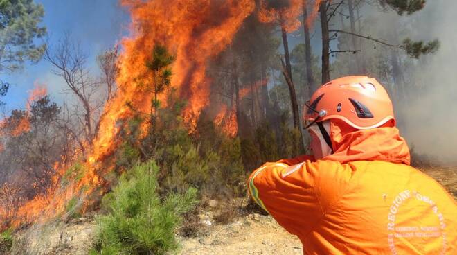 incendio boschivo 