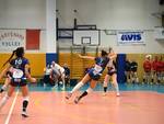 ambra cavallini, volley, pontedera, pallavolo