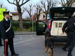 cane roy carabinieri morto