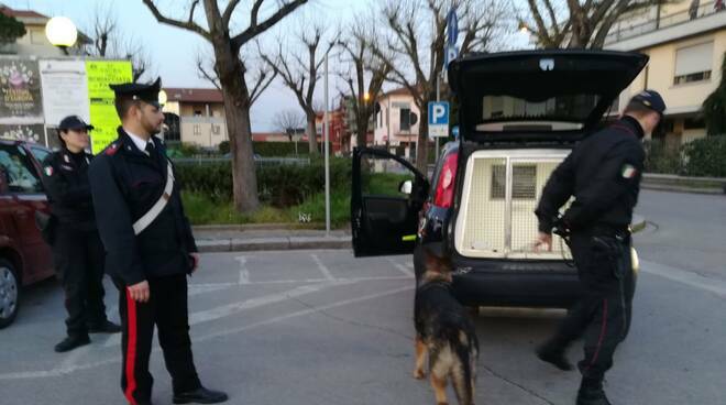 cane roy carabinieri morto