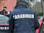 carabinieri carrara 