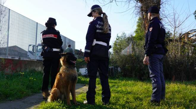 cane antidroga polizia carabinieri municipale