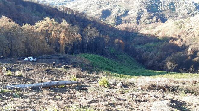 messa in sicurezza colline massarosa