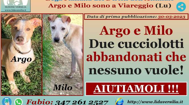 Argo e Milo