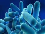 legionella 