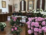 mostra azalea borgo a mozzano 