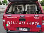 ricerca donna dispersa Santa Croce sull'Arno carabinieri vigili del fuoco