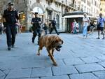 cani molecolari Nettuno e Black Jack ricerca bimba scomparsa