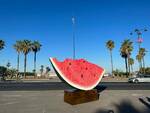 installazione Julio Larraz Viareggio