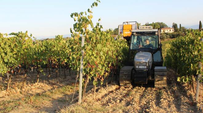 vendemmia meccanica