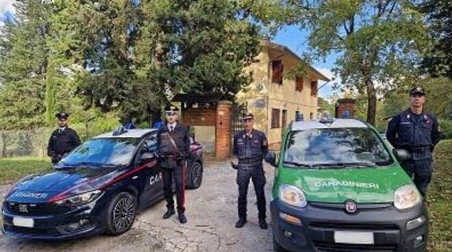 carabinieri, montefalcone, forestali