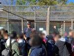 carabinieri, montefalcone, forestali