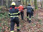 vigili del fuoco bosco 