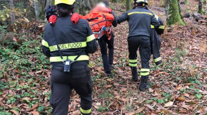 vigili del fuoco bosco 