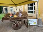 Presepe, Misericordia Borgo a Mozzano