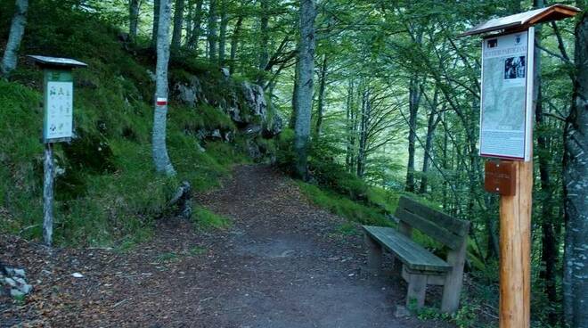 al via lavori strada forestale all'Orrido di Botri