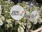 brand Fiori Italiani