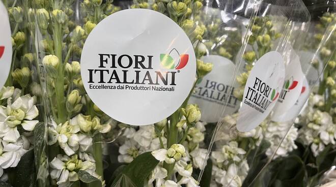 brand Fiori Italiani